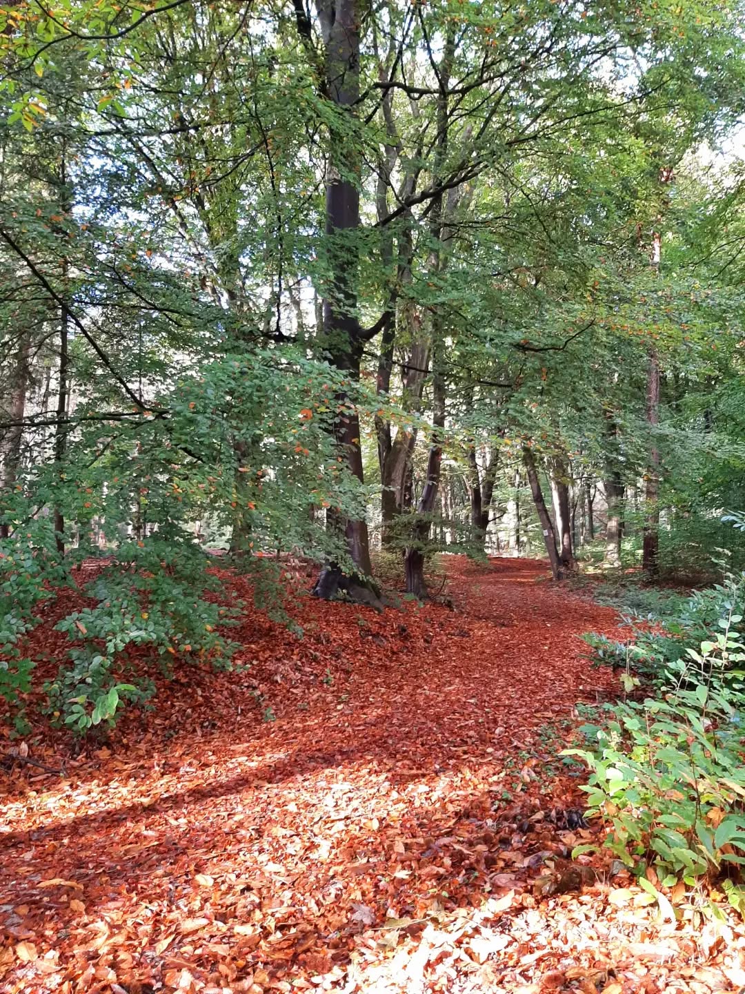 Nederland: Op de Veluwezoom, Gelderland