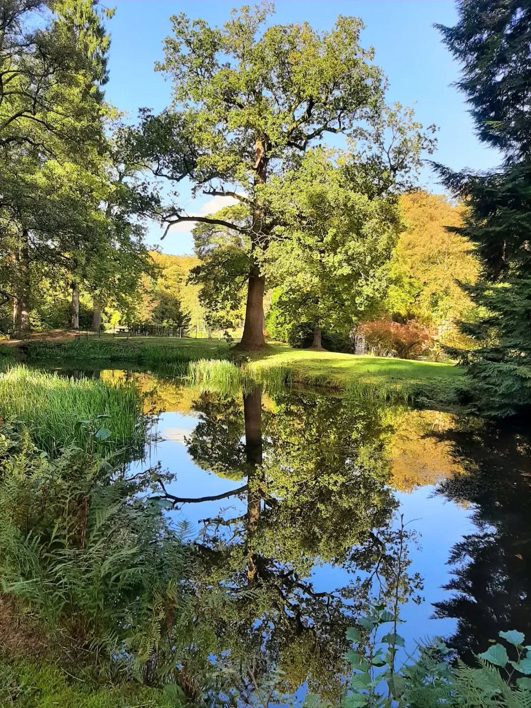 Nederland: In het park, Veluwezoom, Gelderland