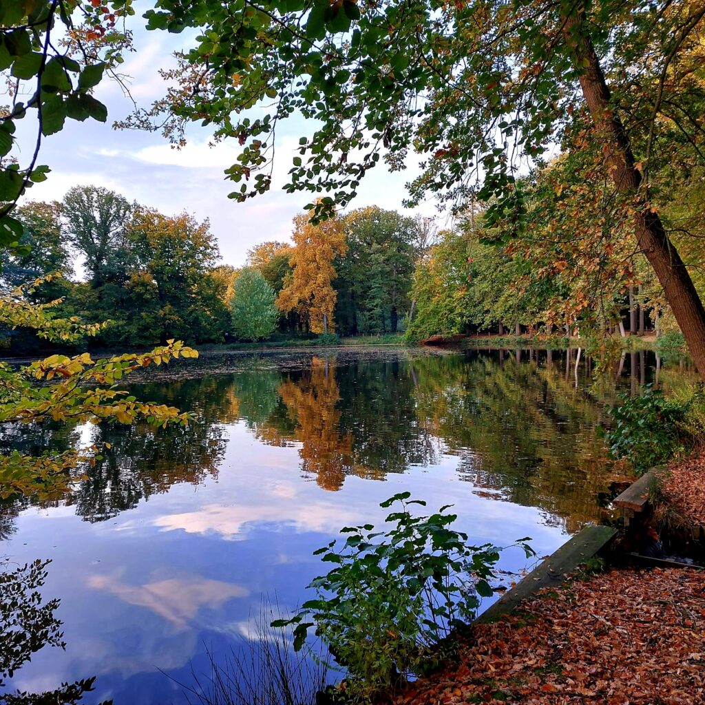 Vijver Landgoed Biljoen, 10.2025
