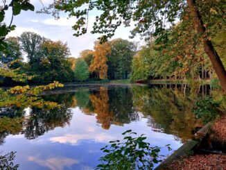 Vijver Landgoed Biljoen, oktober 2025