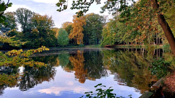 Vijver Landgoed Biljoen, oktober 2025