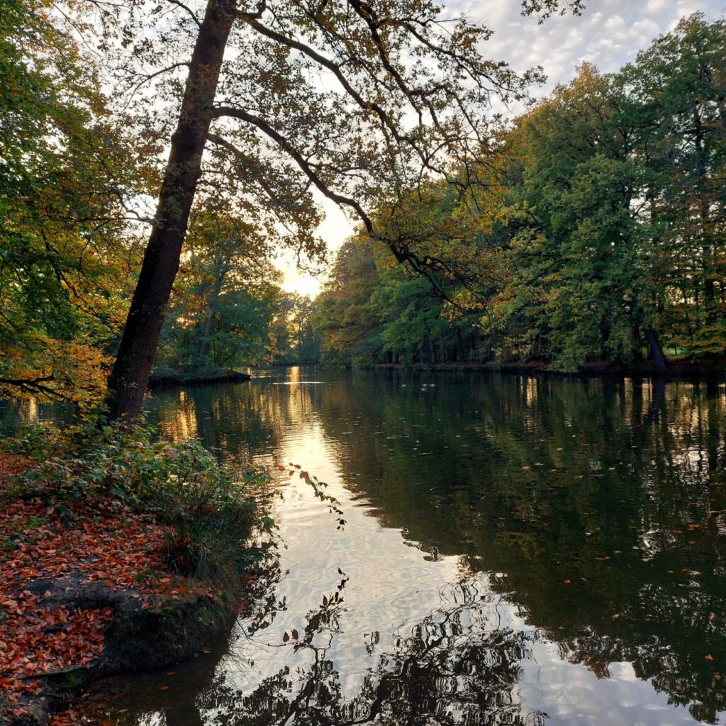 Zonsondergang bij de vijver Landgoed Biljoen, oktober 2025