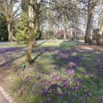Park Kleve, Germany, 03.2025