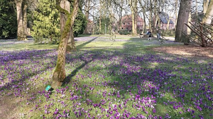 Park Kleve, Germany, 03.2025